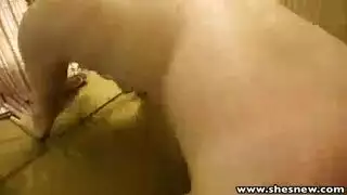 الحصول على الزب مبكر سكس ثلاثي