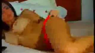 حمى الأدغال: سكس إفريقي خام