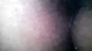 نيك فى زريبه الحيوانات