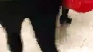 فتاة ممتلئة بالأسود تُمارس الجنس بقوة