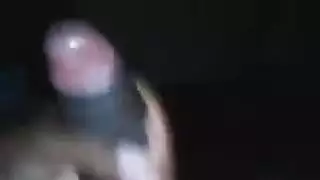 ديك ونائب الرئيس في سراويل بلدي