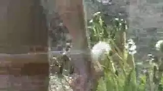 نيك بنت خالتي ياباني