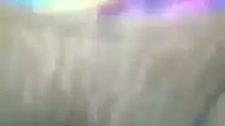 الأبنوس في سن المراهقة الديك الأسود