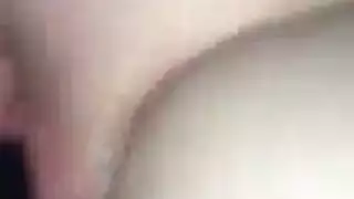 بوصة الديك يائس