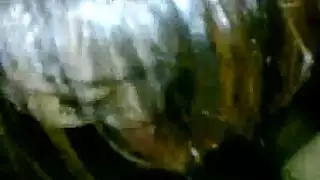 جولة عالمية للكس المبلل يتم تثبيته