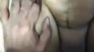 نيك حمار وحمارة