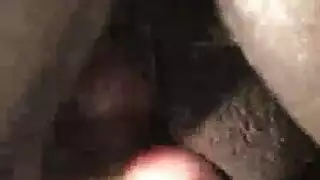 فلمسكسى