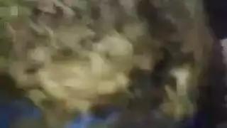 تسريب قديم: فتاة مصرية تُدك في بورن كلاسيكي