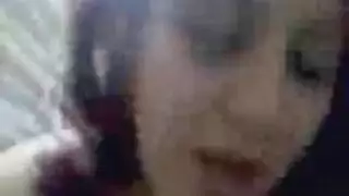 عرقي ممتلئة الجسم مجس نبات