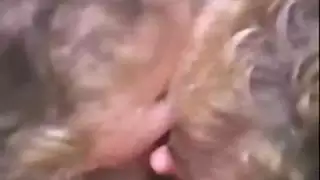 فيديوهات إباحية جدا