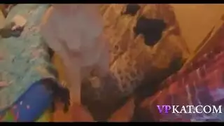 صديقة آسيوية شابة تقدم فتحاتها الضيقة للمتعة