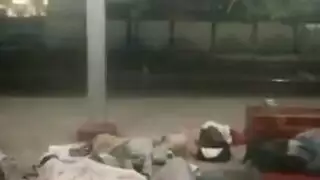 فتاة الملاعين غي تورم الهرة سباحة