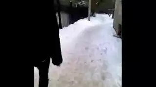 العضو التناسلي النسوي صنم كبير الثدي