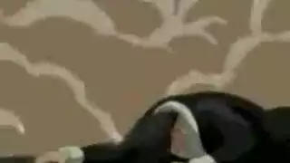 سكس فرنص سكس فرنصي