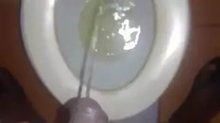 الثدي الوحش بري