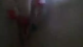 ربه منزل فندق صغير التشيكية في العام