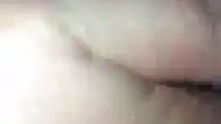 نجاح كبير ثاقب الديك الكبير