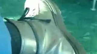 افلام عدن سكس