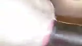 مره حامل