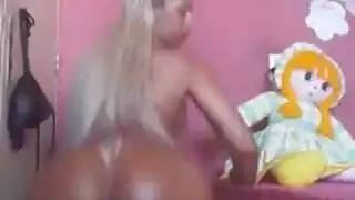 ارمله تنتاك من حصان في الاسطبل