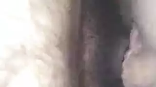 انسكب سخيف شولي انسكب سخيف شولي