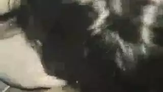 سكسلياليعلوى سكسلياليعلوى