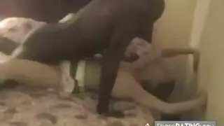 أصيب زوجة الهواة أثناء حفلة الجنس أصيب زوجة الهواة أثناء حفلة الجنس