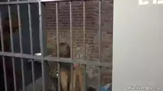 مترجم مترجم