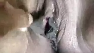 نيك حيوان نيك حيوان