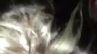 كيت أنبوب الإباحية الحرة كيت أنبوب الإباحية الحرة