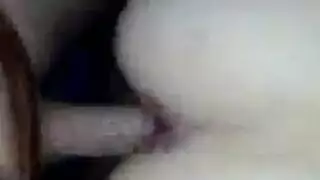 خنثي الحمار الحلق المدلك خنثي الحمار الحلق المدلك