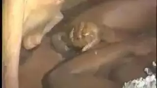 صور عن كس معالي زايد عارى صور عن كس معالي زايد عارى