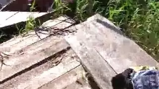 سكس سكس