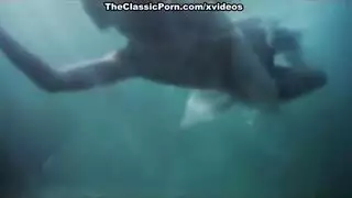 داليا البحيري بتتناك في كسها سكس داليا البحيري بتتناك في كسها سكس