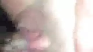 سكس حيوانات سكس حيوانات