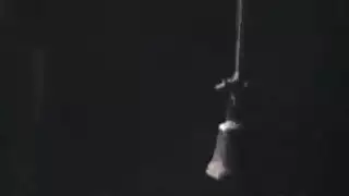 تحمېل سكس تحمېل سكس