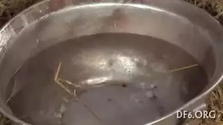 صورخرم طيزحوامل صورخرم طيزحوامل