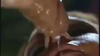 كس في زبرمترجم كس في زبرمترجم