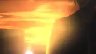 كلب بينيك واحده