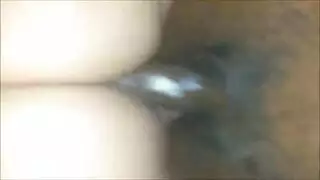 الكلب الأبيض الكثيف مص BBC. كريبي كس الكلب الأبيض الكثيف مص BBC. كريبي كس
