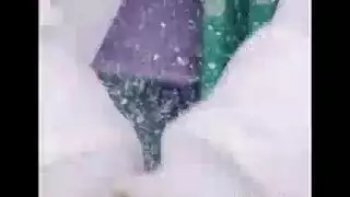 افلو سكس افلو سكس