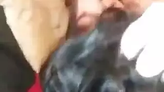 يضع قطة بلدي العبيد العرب الفم للعمل يضع قطة بلدي العبيد العرب الفم للعمل