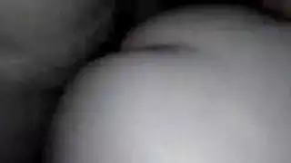 صور كساس راقصات مصرية صور كساس راقصات مصرية