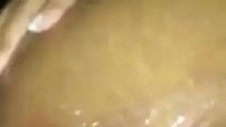 هذه الموالية الشعبية يحضر بلا كلل هذه الموالية الشعبية يحضر بلا كلل