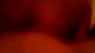 سكسفيسن١٤ سكسفيسن١٤