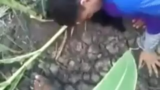 مصريه خلفي مصريه خلفي