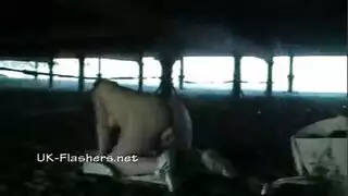 بار النادل تسوية الحمار الدهون. بار النادل تسوية الحمار الدهون.