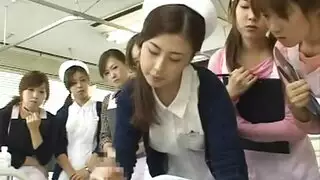 عنيف اغتصاب حصان عنيف اغتصاب حصان