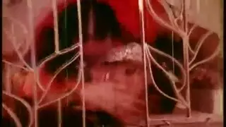 نيك بزب ربل نيك بزب ربل