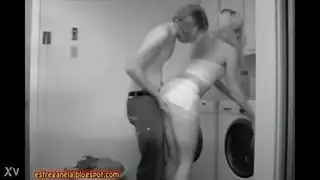 فحل امريكي وايطالي فحل امريكي وايطالي